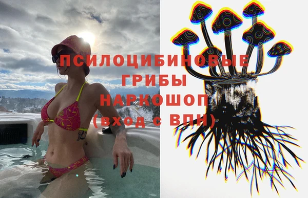 марки lsd Лабытнанги