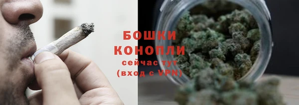 сатива Ладушкин