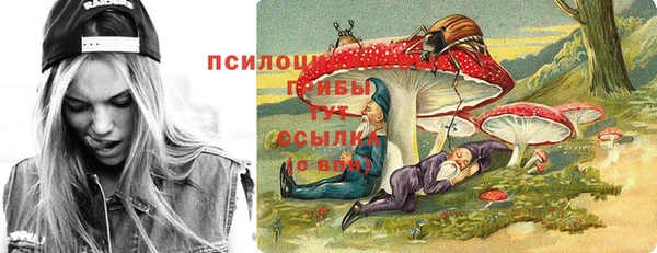 сатива Ладушкин