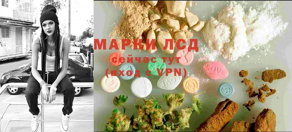 сатива Ладушкин