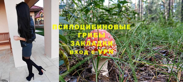 сатива Ладушкин