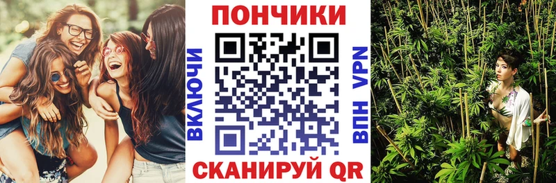 Купить закладки  Куртамыш  Бошки Шишки OG Kush 